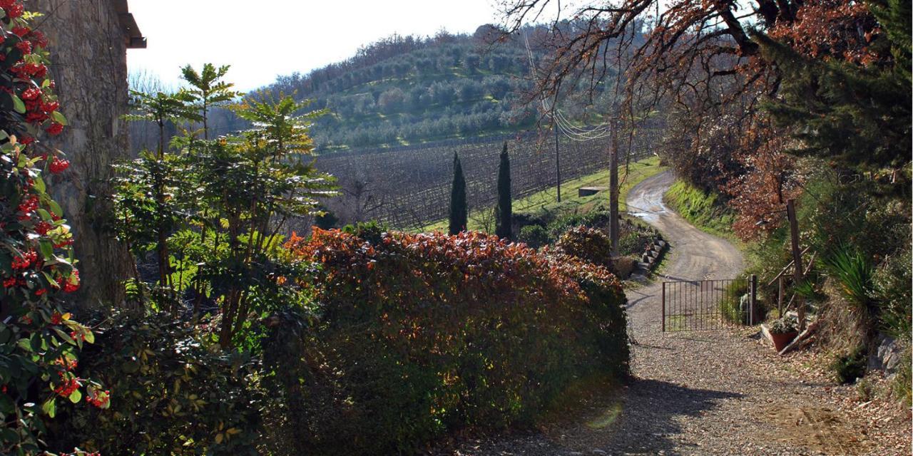 Molino Di Bombi Villa Castellina in Chianti Eksteriør billede