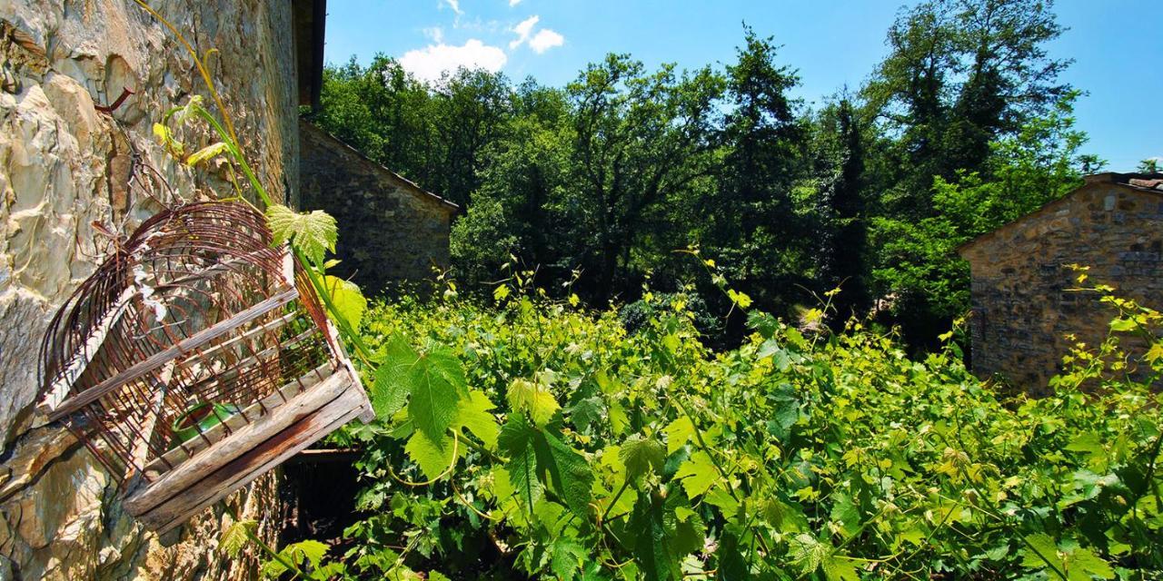 Molino Di Bombi Villa Castellina in Chianti Eksteriør billede